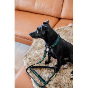 Kentucky Leoparden hondenriem Donkergroen Kentucky Leoparden hondenriem Donkergroen