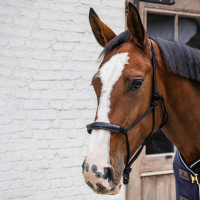 Kentucky halster van touw Zwart