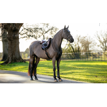 Hunter LeMieux Merino+ zadeldek