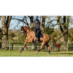 LeMieux ProSport Dressuur SQ Effen Standaardriem Zwart