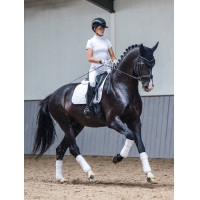 LeMieux ProSport Dressuur SQ Effen Standaardriem Oud model wit