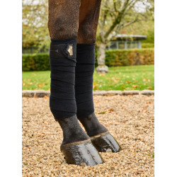 LeMieux Elevate polosluitingen Zwart