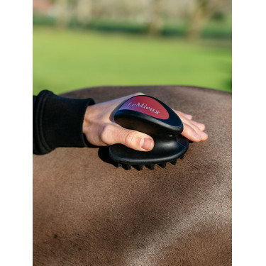 LeMieux-massageborstel Zwart