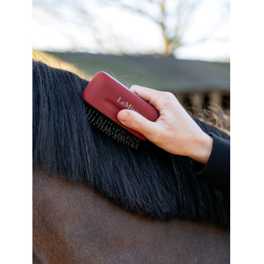 Ontklittende kam LeMieux voor manen Rood