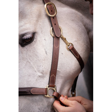 Leren halster met 3 musketons Paddock Sports Havana Bruin Leren halster met 3 musketons Paddock Sports Havana Bruin