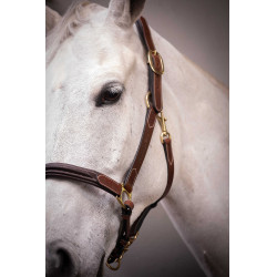 Leren halster met 3 musketons Paddock Sports Havana Bruin Leren halster met 3 musketons Paddock Sports Havana Bruin