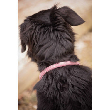 Hondenhalsband Penelope Billie Roze / lurex