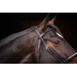 Bridon Pénélope Symphonie Zwart