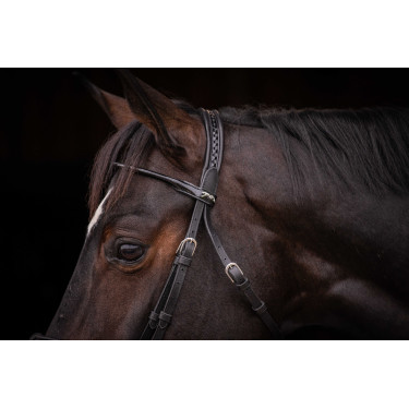 Bridon Pénélope Symphonie Zwart