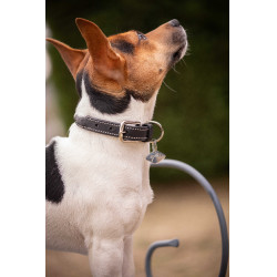 Halsband voor hond Pénélope Olie Havana Bruin