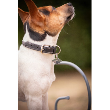 Halsband voor hond Pénélope Olie Havana Bruin