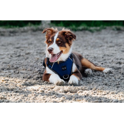 Hondenharnas RIDING WORLD - Simba Marine Marineblauw