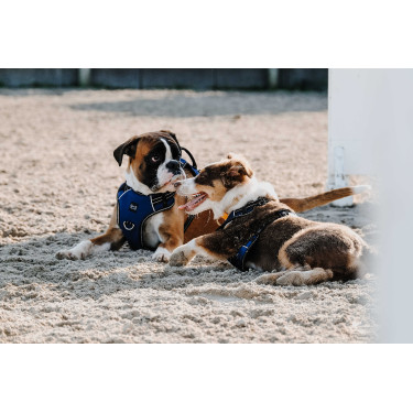 Hondenharnas RIDING WORLD - Simba Marine Marineblauw