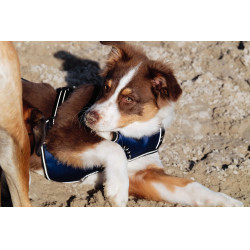 Hondenharnas RIDING WORLD - Simba Marine Marineblauw