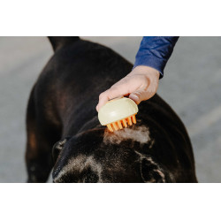 Hippotonic Stoomstrijker Crème Beige