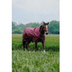 Equithème TYREX 1200D High Neck deken Bordeaux