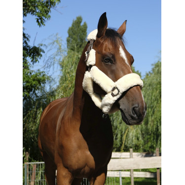 Halster Equithème Teddy Halster Equithème Teddy