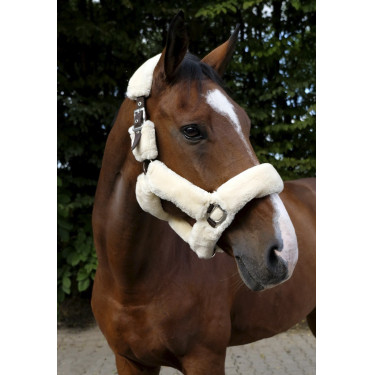 Halster Equithème Teddy Halster Equithème Teddy