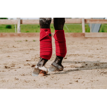 Equithème polobandages set van 4 Rood