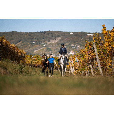 Zweet Equithème Hervé Marineblauw