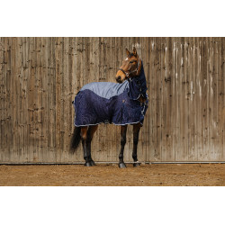 Unisex overhemd Equithème Marineblauw