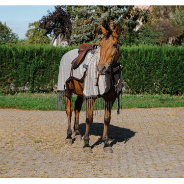 Werkshirt Riding World anti-vliegen Grijs Werkshirt Riding World anti-vliegen Grijs