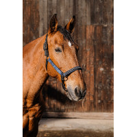 Nylon halster Equithème Domino Koningsblauw