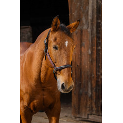 Nylon halster Equithème Domino Bordeaux Nylon halster Equithème Domino Bordeaux
