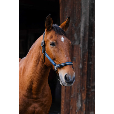 Nylon halster Equithème Domino Blauw Nylon halster Equithème Domino Blauw