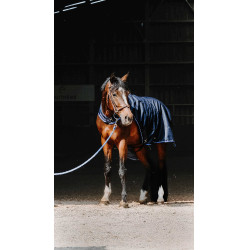 Wandeldeken Equithème Classic 1200D Marineblauw