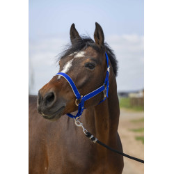 Halster Equithème Nylon light Koningsblauw