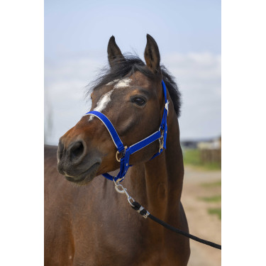 Halster Equithème Nylon light Koningsblauw