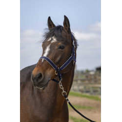 Halster Equithème Nylon light Marineblauw
