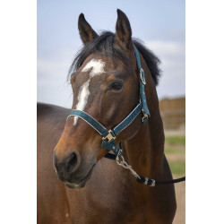 Halster Equithème Nylon light Donkergroen
