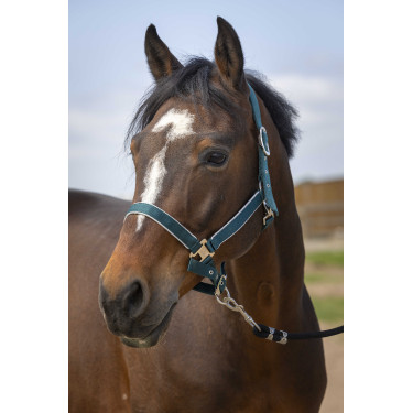 Halster Equithème Nylon light Donkergroen