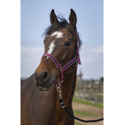Halster Equithème Nylon light Bordeaux Halster Equithème Nylon light Bordeaux