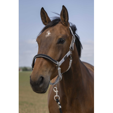 Halster Equithème Nylon Chevron Lichtgrijs