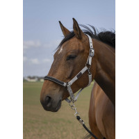 Halster Equithème Nylon Chevron Zwart