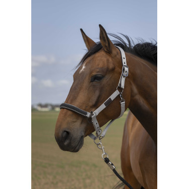 Halster Equithème Nylon Chevron Lichtgrijs