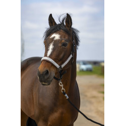 Halster Equithème Nylon Check Zwart / bruin
