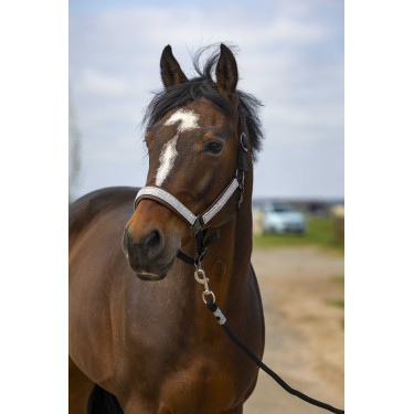 Halster Equithème Nylon Check Zwart / bruin