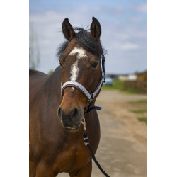 Halster Equithème Nylon Check Marine / bruin Blauw