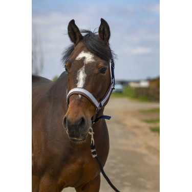 Halster Equithème Nylon Check Marine / bruin Blauw