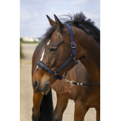 Halster Equithème Nylon Strass Marineblauw Halster Equithème Nylon Strass Marineblauw