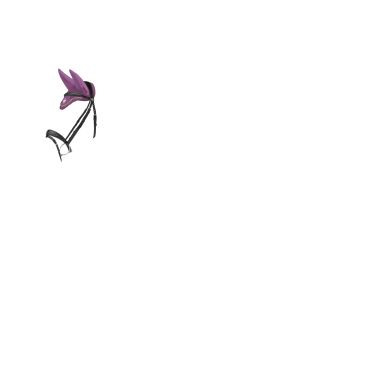 Vliegennetje LeMieux Esme Kaasjeskruid Violet