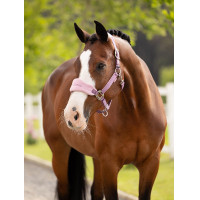 Halster en leadrope LeMieux Vogue Esme Blauw maïs