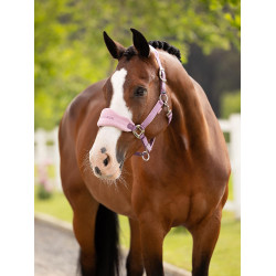 Halster en leadrope LeMieux Vogue Esme Kaasjeskruid Violet