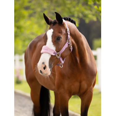 Halster en leadrope LeMieux Vogue Esme Kaasjeskruid Violet