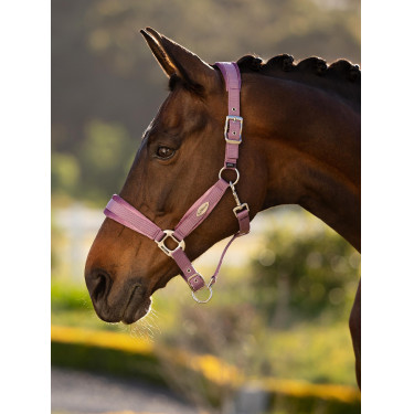 Halster LeMieux Versailles Kaasjeskruid Violet