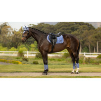 Zadeldek LeMieux Loire Close Contact Square CSO Benetton Blauw Zadeldek LeMieux Loire Close Contact Square CSO Benetton Blauw